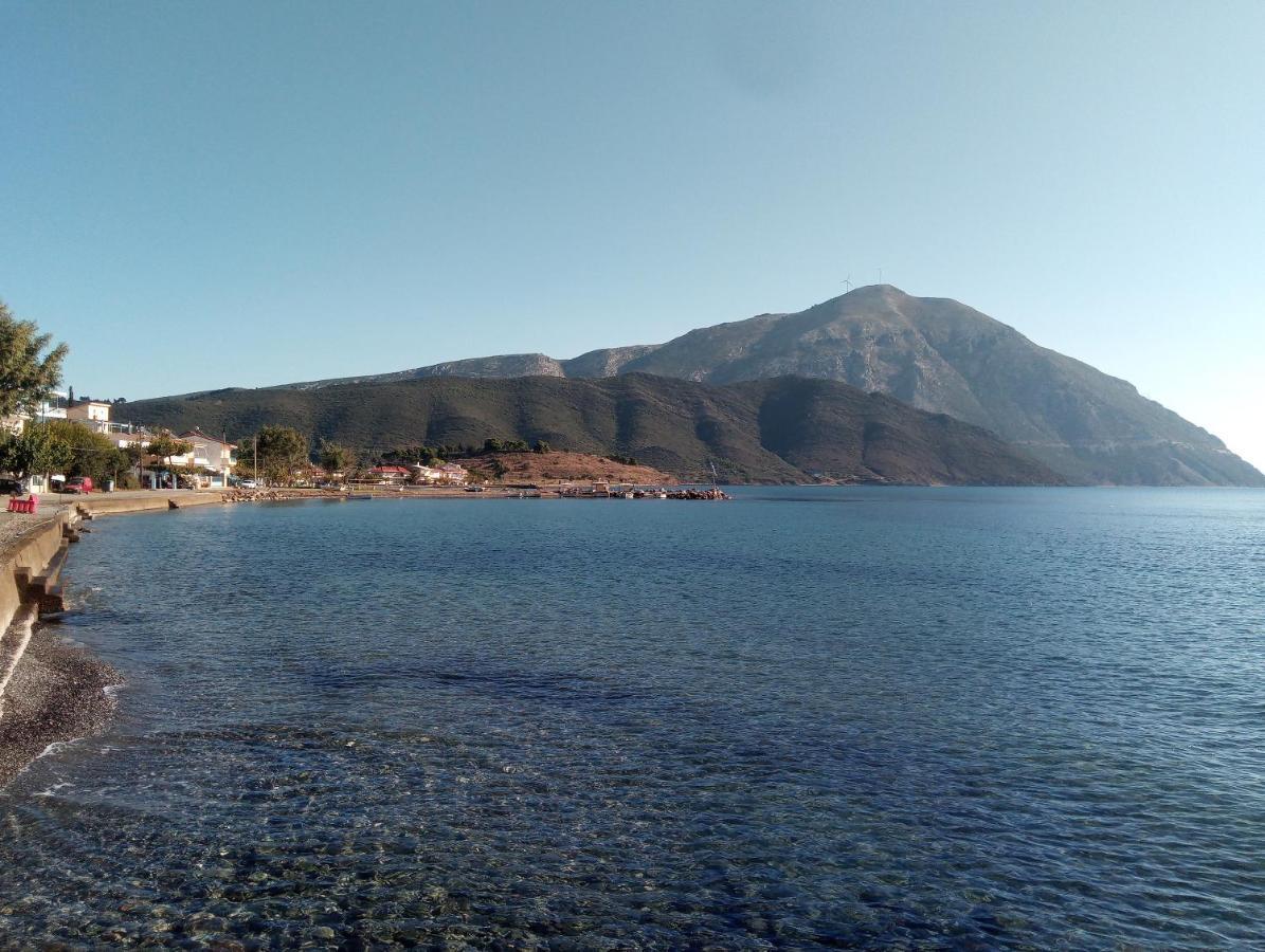 Villa The Platanus Tree Kato Vasiliki Exterior photo