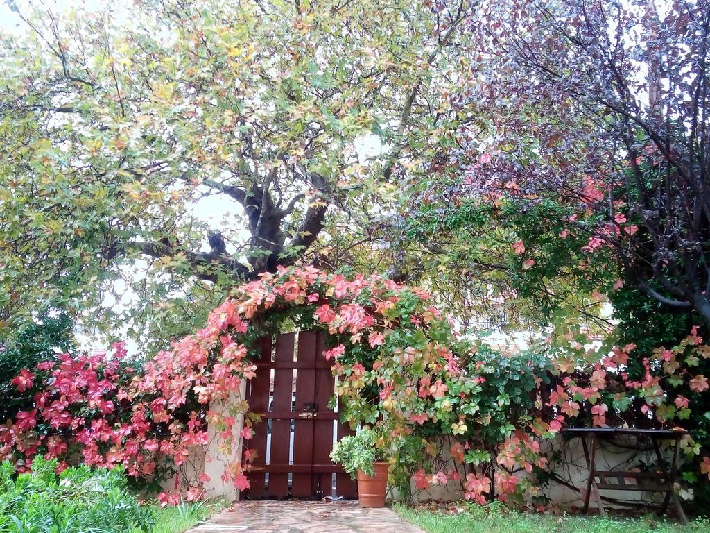 Villa The Platanus Tree Kato Vasiliki Exterior photo