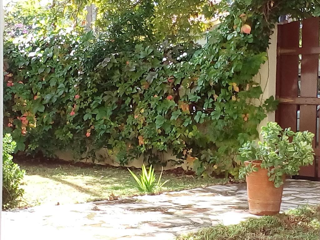 Villa The Platanus Tree Kato Vasiliki Exterior photo