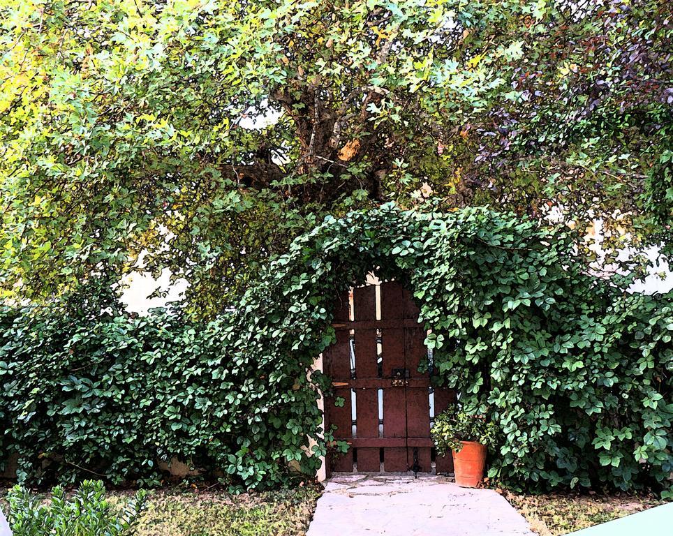 Villa The Platanus Tree Kato Vasiliki Exterior photo