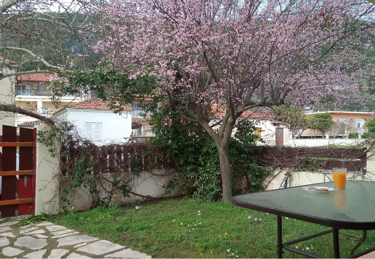 Villa The Platanus Tree Kato Vasiliki Exterior photo