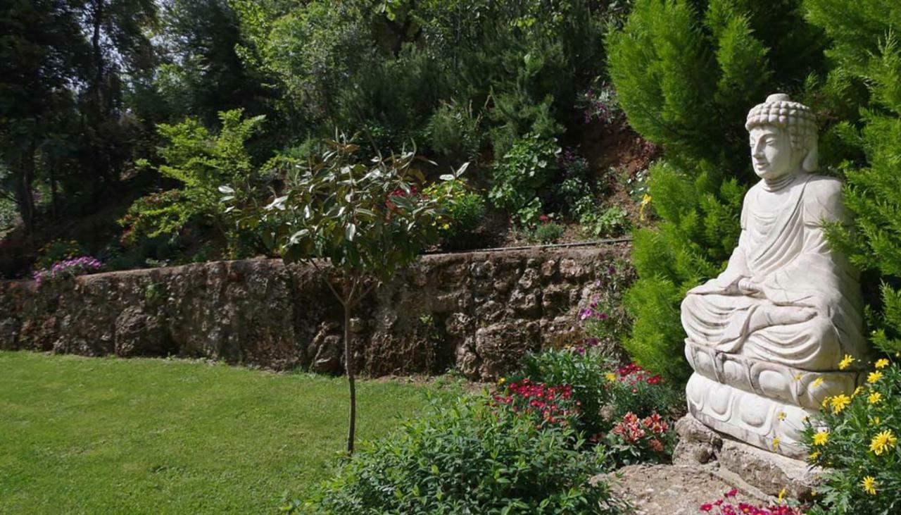 Villa The Platanus Tree Kato Vasiliki Exterior photo